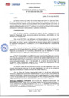 Vista preliminar de documento ACR N041
