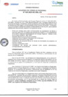 Vista preliminar de documento ACR N042