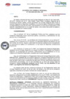Vista preliminar de documento ACR N043