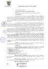 Vista preliminar de documento r175