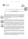 Vista preliminar de documento RGAPI_N°025-2023