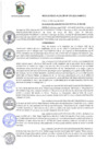 Vista preliminar de documento r178