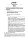 Vista preliminar de documento Anexo N° 01 - Puesto/s Vacante/s