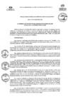 Vista preliminar de documento RGPROY_N°003-2021