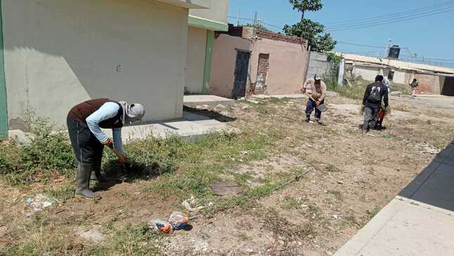 Mas espacios y zonas libres de maleza y de residuos aseguran la Ciudad de los Alteños