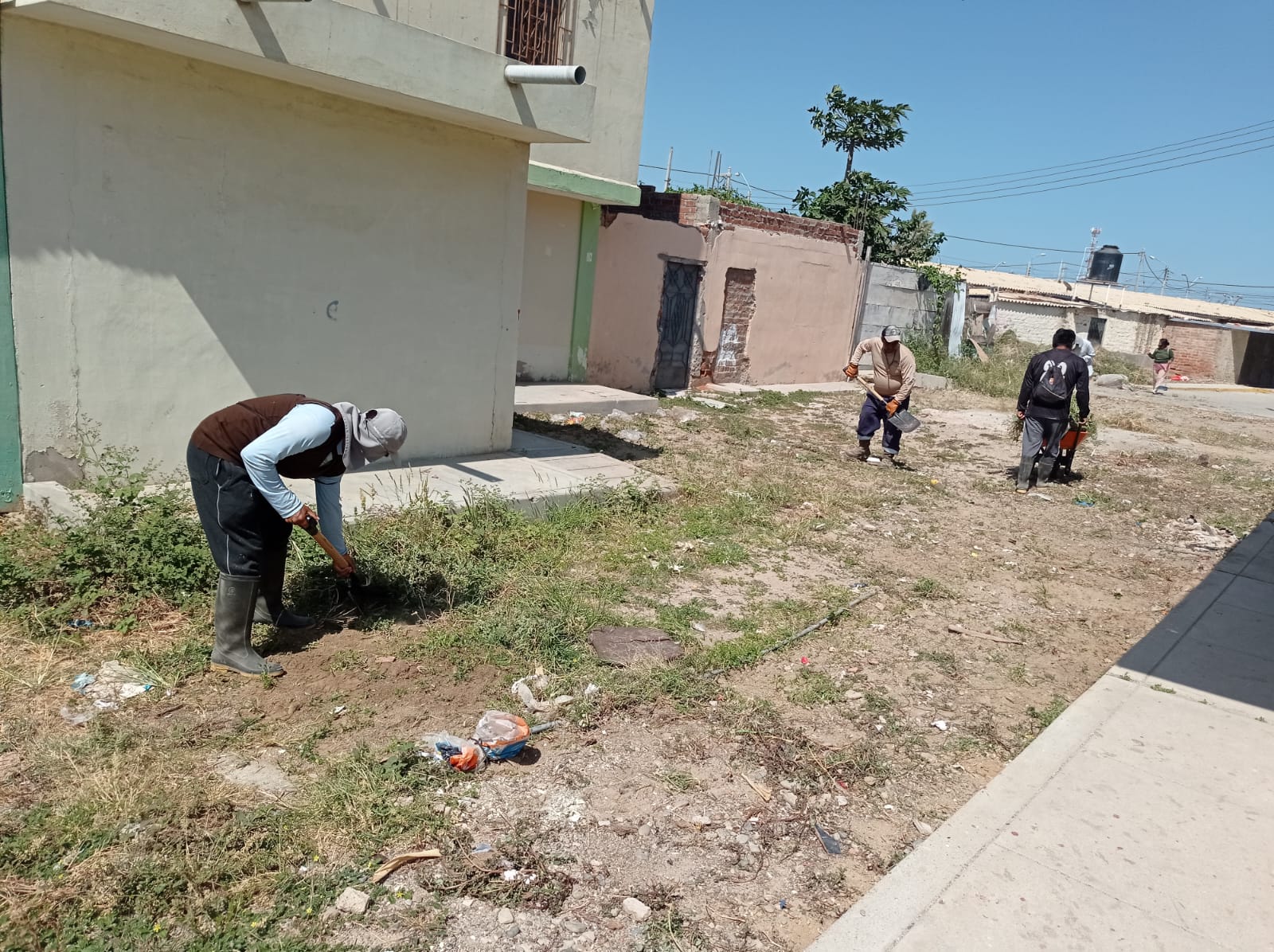 Mas espacios y zonas libres de maleza y de residuos aseguran la Ciudad de los Alteños
