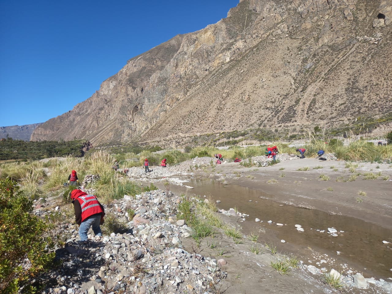 Se dio inicio a las actividades programadas por el PROGRAMA LURAWI PERÚ en el distrito de Lloque, con la presencia del alcalde Tec. Rubén N. Mamani Bautista, conjuntamente con el personal del Programa de Empleo Temporal Lurawi Perú.

Estos trabajos consisten en las siguientes actividades:

“LIMPIEZA, MANTENIMIENTO Y ACONDICIONAMIENTO DE CAMINO DE HERRADURA EN EL SECTOR DE CHINTARI DEL CENTRO POBLADO DE LLOQUE, DISTRITO DE LLOQUE - PROVINCIA DE GENERAL SANCHEZ CERRO - DEPARTAMENTO DE MOQUEGUA”

“LIMPIEZA, MANTENIMIENTO Y DESCOLMATACIÓN DE CANALES DE RIEGO EN LOS SECTORES DE KASAPATA-SOCSAN, LAJRACAN, TUNLÚN, HUISICATA, CUCHUTUMA Y TOQUEN, ANEXO LUCCO - DISTRITO DE LLOQUE - PROVINCIA DE GENERAL SANCHEZ CERRO - DEPARTAMENTO DE MOQUEGUA"

El alcalde, Rubén N. Mamani Bautista, seguirá trabajando con diligencia y confianza para garantizar el desarrollo del distrito y crear más oportunidades de empleo para los ciudadanos, con el fin de contribuir a mejorar la situación económica de las familias lloqueñas. Se esforzará por fomentar un sentimiento de seguridad y confianza entre la población, al tiempo que tomará medidas para lograr un futuro más próspero para el distrito. Está decidido a hacer todo lo necesario para lograr un cambio real y duradero, y para garantizar que todos los miembros de la comunidad tengan acceso a los recursos que necesitan para salir adelante.

