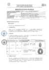 Vista preliminar de documento TDR 