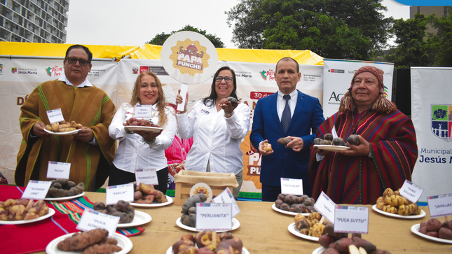 👉 Con el objetivo de impulsar el desarrollo de pequeños productores agrarios y que nuestra papa peruana conquiste los mercados mundiales, se realizó un mercado itinerante #DeLaChacraALaOlla en la Concha Acústica del Campo de Marte.