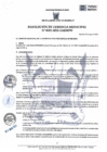 Vista preliminar de documento RGM 105-2023