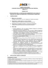 Vista preliminar de documento Anexo N° 01 - Puesto/s Vacante/s