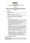Vista preliminar de documento Anexo N° 01 - Puesto/s Vacante/s