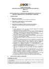 Vista preliminar de documento Anexo N° 01 - Puesto/s Vacante/s