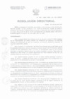 Vista preliminar de documento Resolucion Directorial N°142-2022-DIRESA