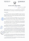 Vista preliminar de documento Resolucion Directorial N°166-2022-DIRESA