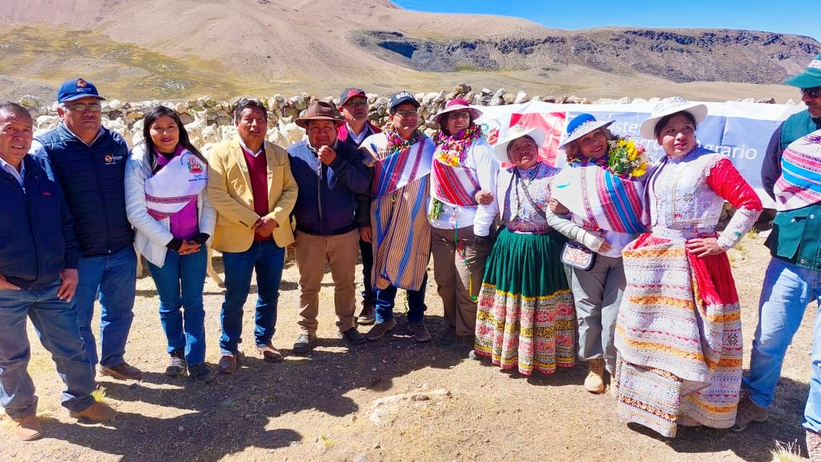 Dosificación de alpacas en Tuti - Arequipa