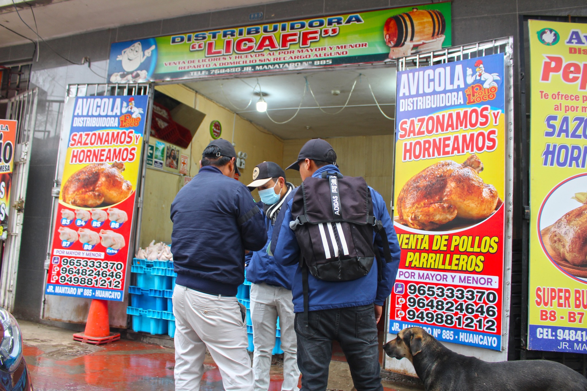 Robaban peso de 25 a 200 gramos