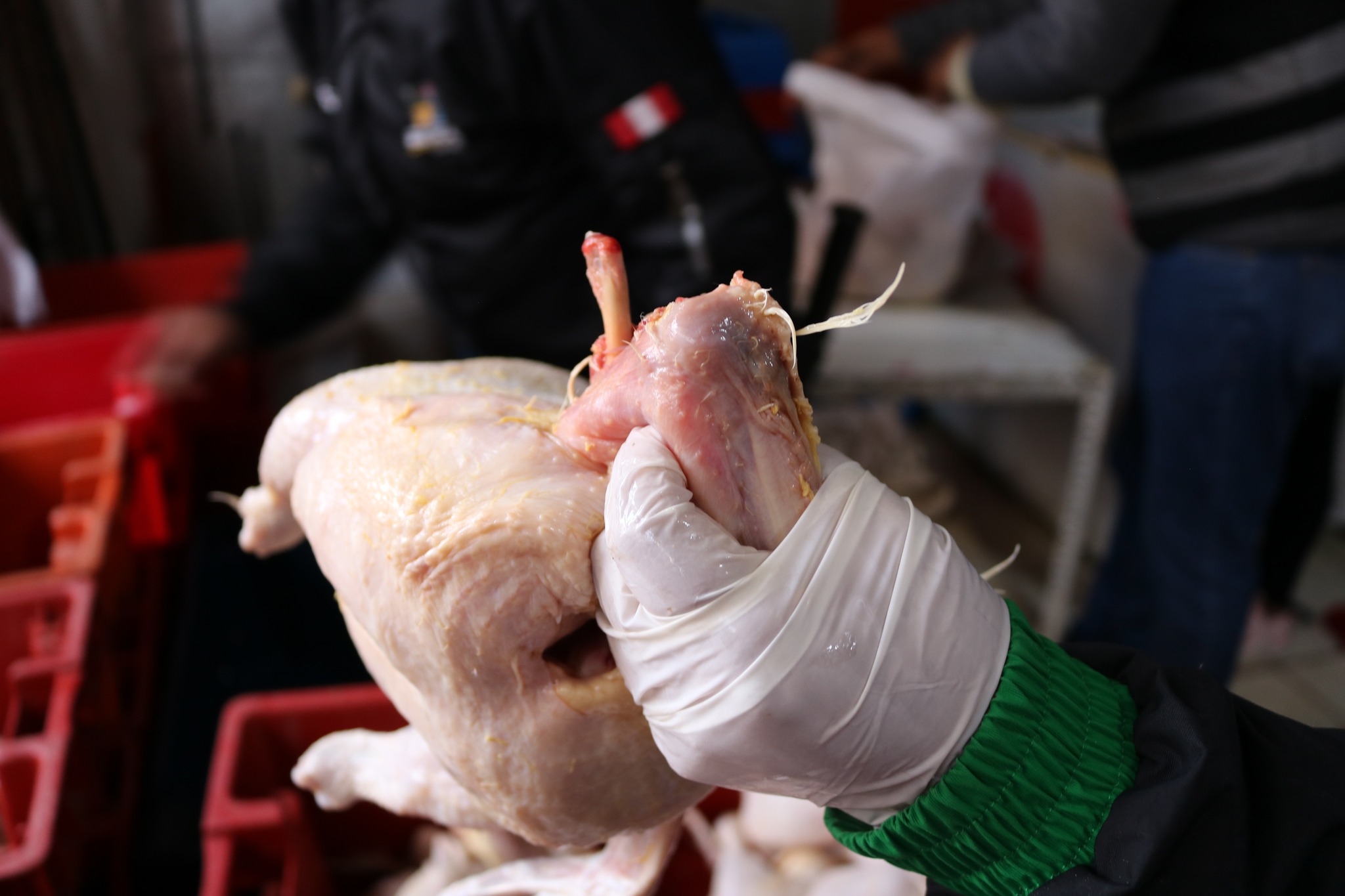 EN OPERATIVO INOPINADO SE HALLÓ CARNES EN MAL ESTADO