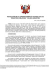 Vista preliminar de documento Resolución de la Superintendencia Nacional de los Registros Públicos N° 103-2023-SUNARP/SN
