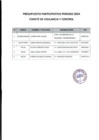 Vista preliminar de documento comite de vigilancia y control