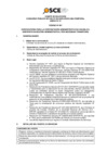 Vista preliminar de documento Anexo N° 01 - Puesto/s Vacante/s