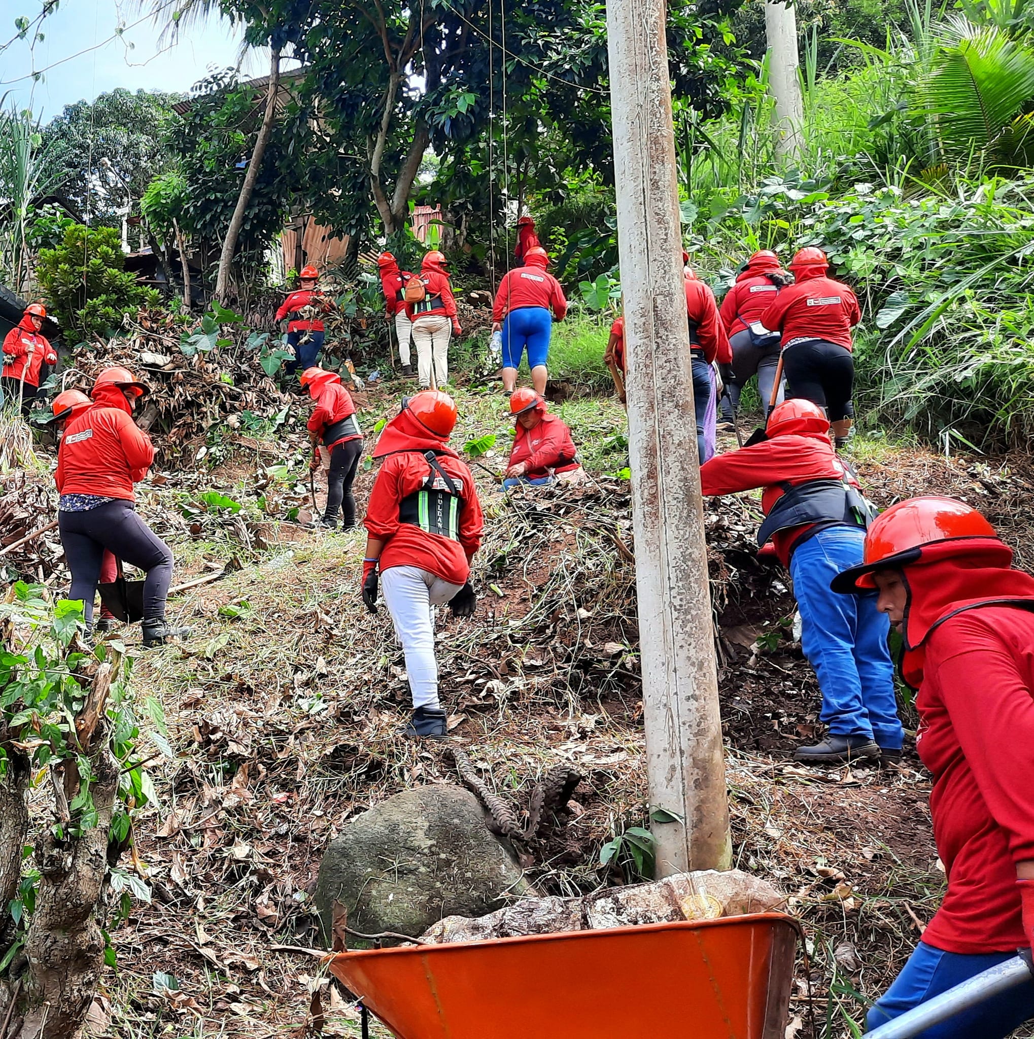 🔰MDP INICIA TRABAJOS CON LURAWI PERÚ.