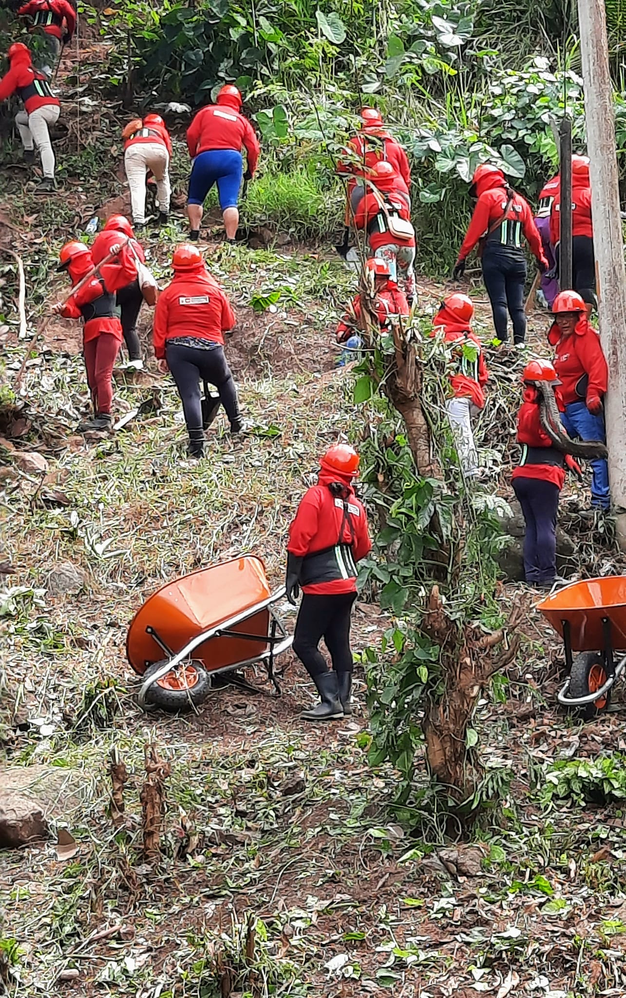 🔰MDP INICIA TRABAJOS CON LURAWI PERÚ.
