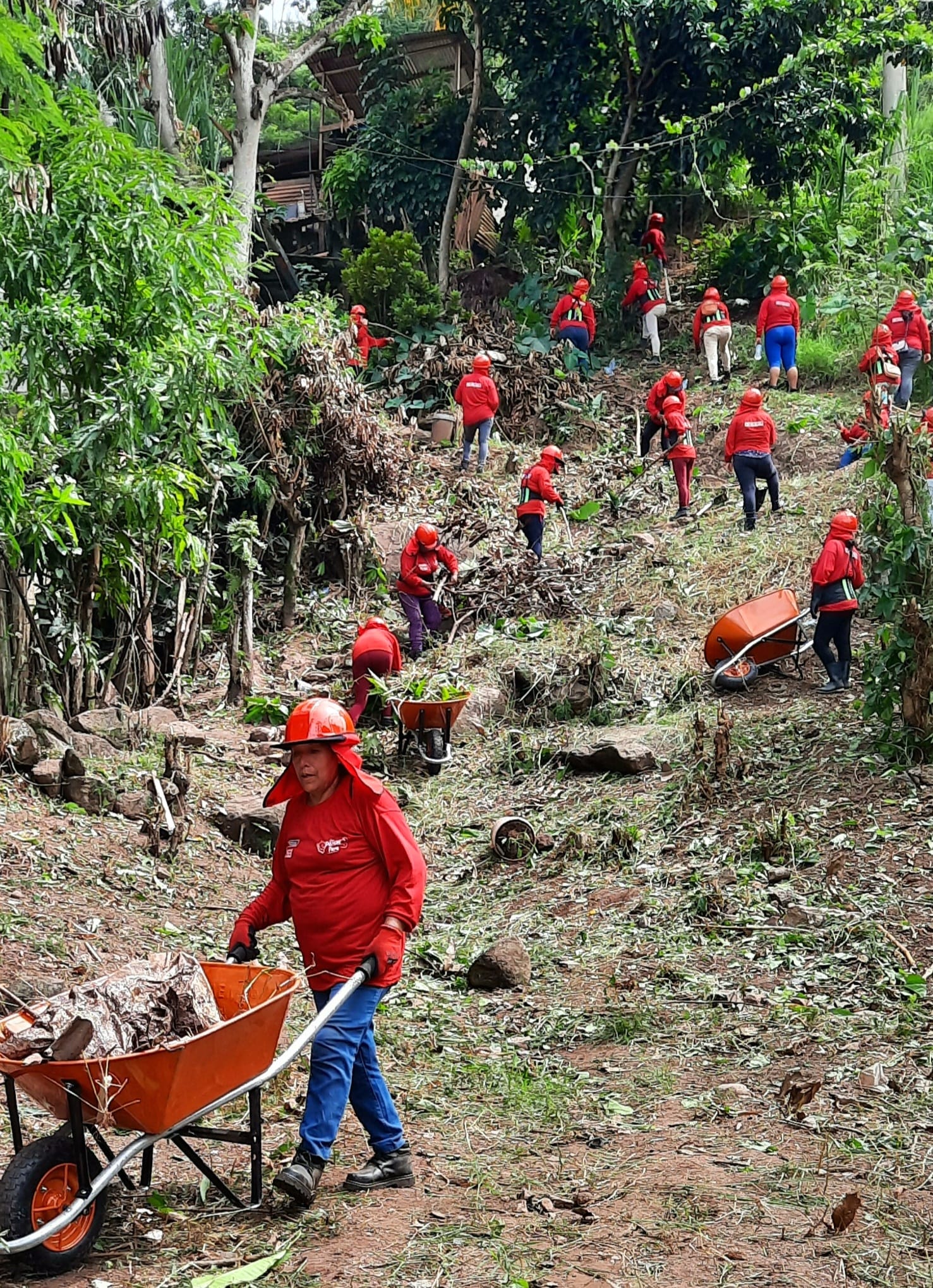 🔰MDP INICIA TRABAJOS CON LURAWI PERÚ.