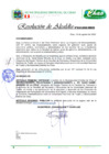 Vista preliminar de documento Resolucion de AlcaldíaxWbtL