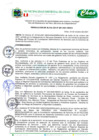 Vista preliminar de documento Resolucion de Alcaldía6sRKy