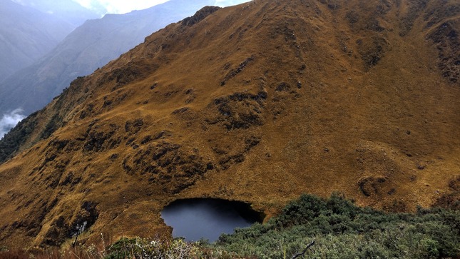 Fotografía 