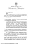 Vista preliminar de documento RD 078