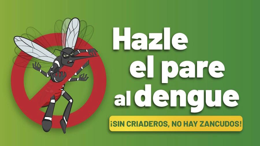 Piura: más de 700 instituciones educativas participarán en la campaña de eliminación de criaderos del zancudo 