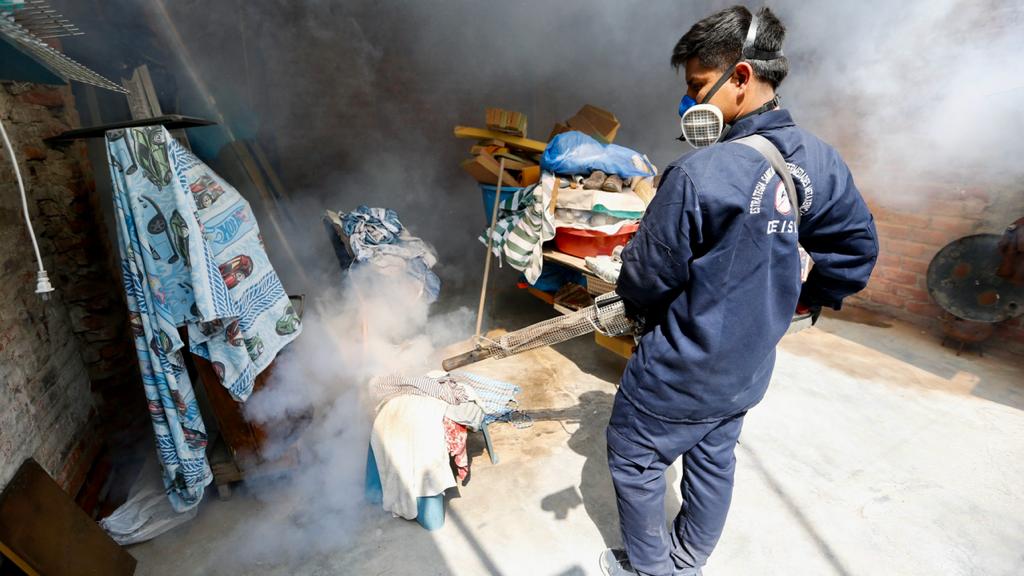 Minsa establece fumigar 150 000 viviendas de Piura en una semana