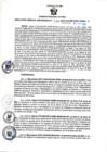 Vista preliminar de documento RGSR N 136