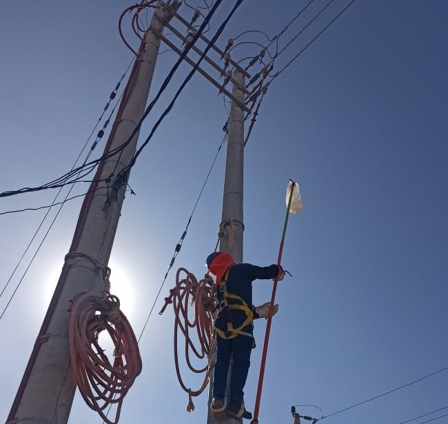 AYACUCHO: Globo de helio provoca corte de energía eléctrica en Huamanga