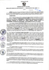 Vista preliminar de documento RGSR N 137
