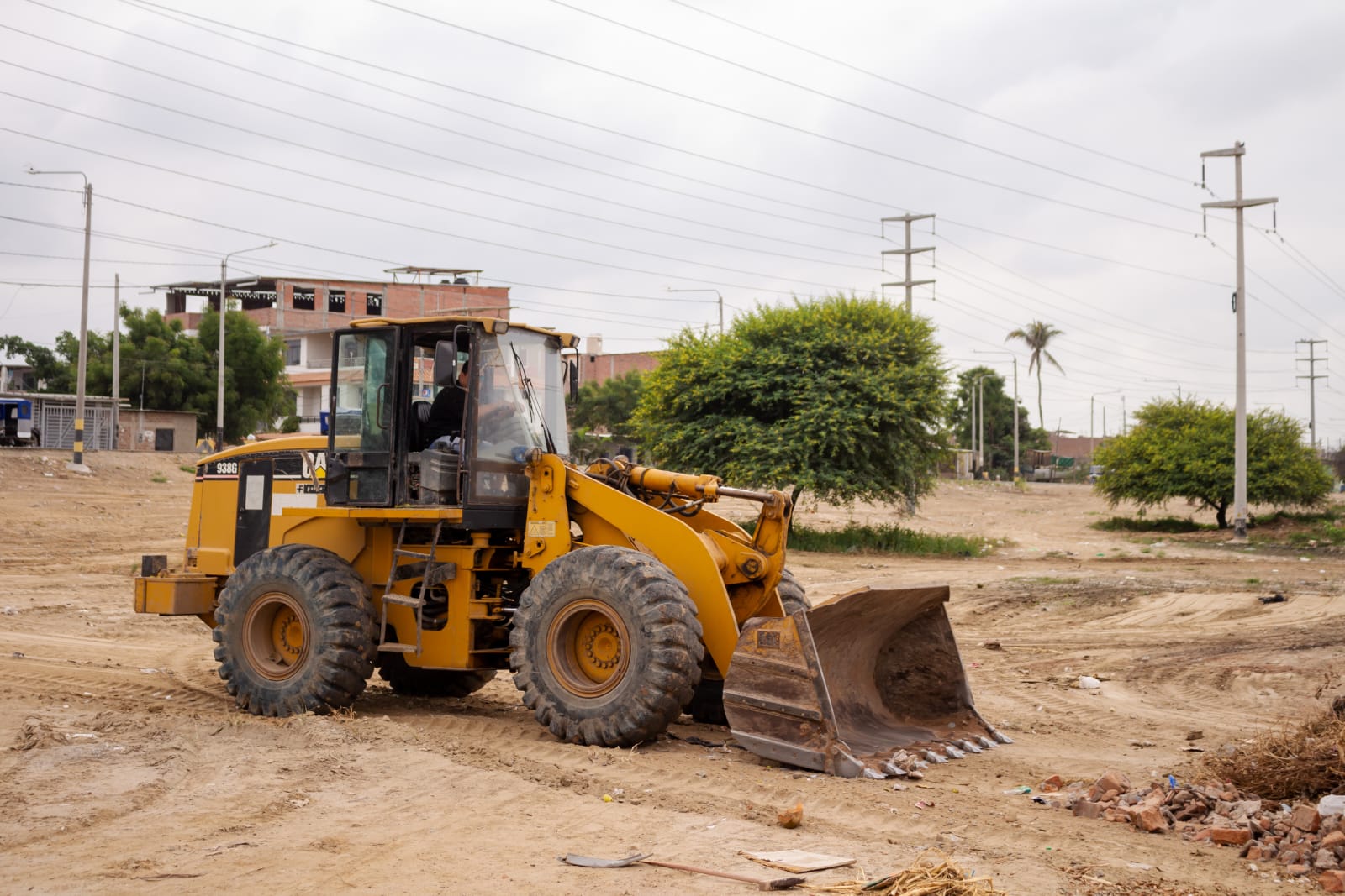 DESPEJAN ÁREAS PARA CAMBIAR EL ROSTRO DE LA CIUDAD CON PROYECTOS DE FORESTACIÓN