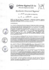 Vista preliminar de documento RDR-1077-20228Gsao