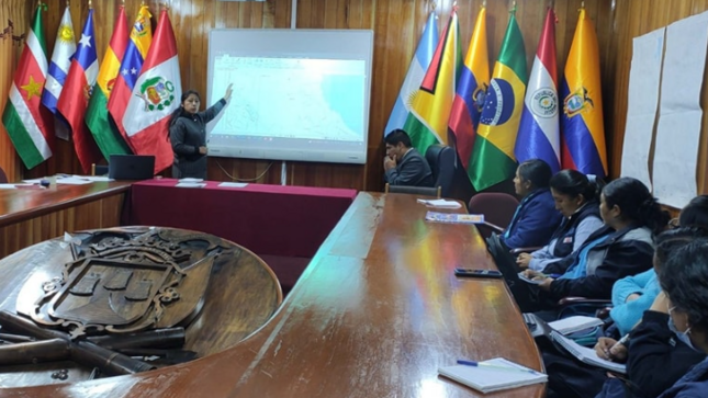 Para mejorar las condiciones y desarrollo infantil temprano y asegurar su inclusión social, los integrantes de la Instancia de Articulación Local (IAL) desarrollaron su reunión mensual en la sala de banderas de la municipalidad de Puno, donde se trataron varios temas que buscan reducir la anemia y la desnutrición infantil.