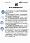 Vista preliminar de documento Resolucion Directorial N156-2023-DIRESA