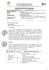 Vista preliminar de documento TDR 