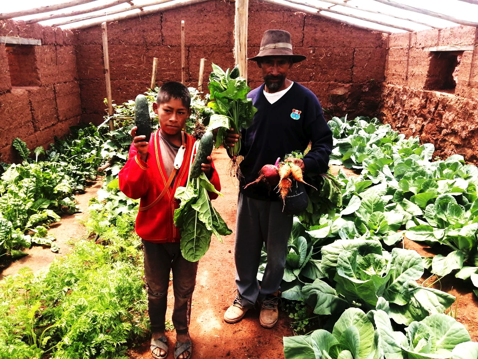 Agricultores apuestan por la producción orgánica