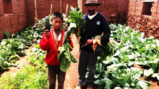 Agricultores apuestan por la producción orgánica