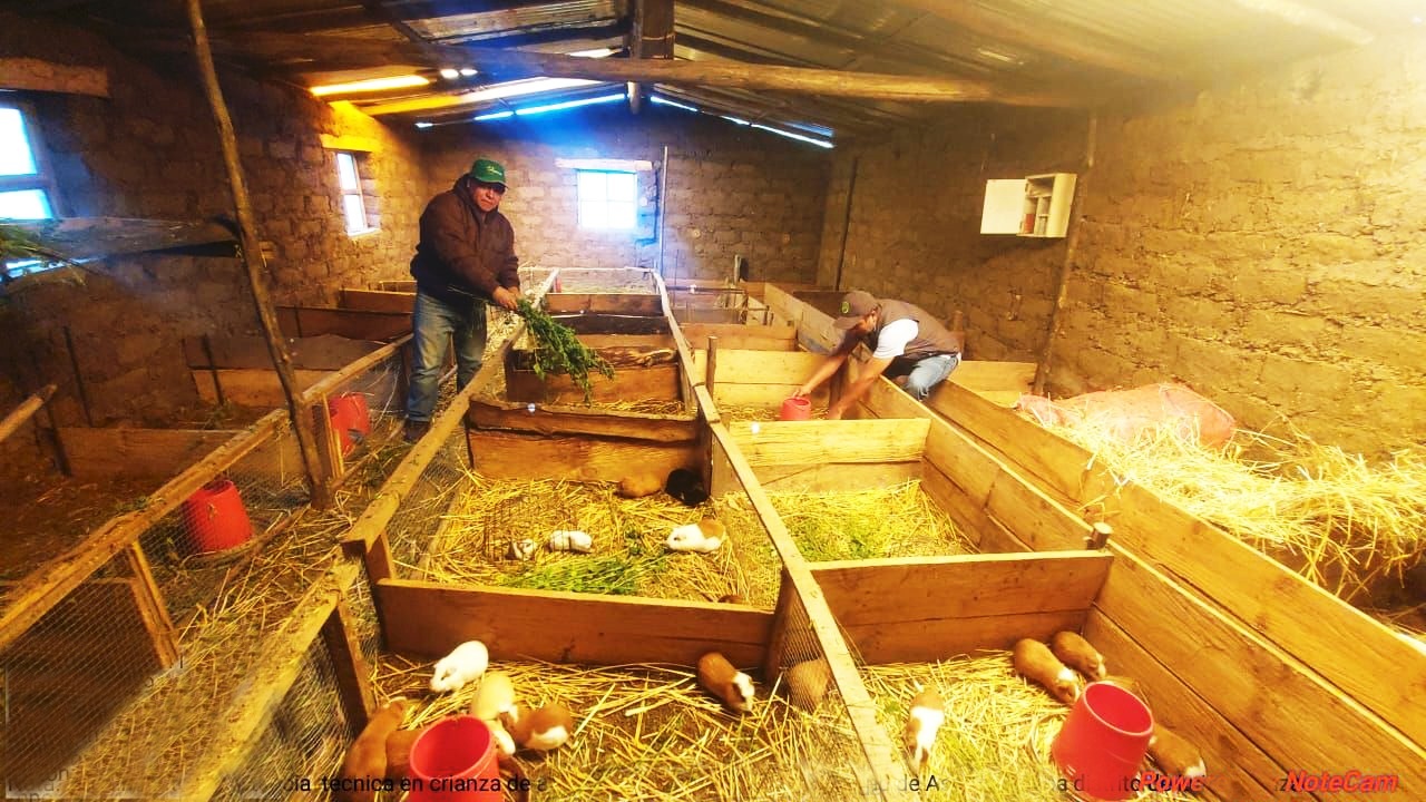 Agricultores apuestan por la producción orgánica