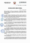 Vista preliminar de documento Resolucion Directorial N173-2023-DIRESA