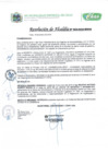 Vista preliminar de documento Resolucion de AlcaldíaMDvgl