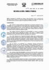 Vista preliminar de documento Resolucion Directorial N191-2023-DIRESA
