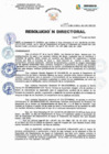 Vista preliminar de documento Resolucion Directorial N200-2023-DIRESA