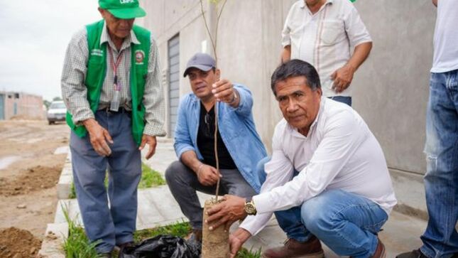 SEMANA DEL MEDIO AMBIENTE INICIÓ CAMPAÑA DE REFORESTACIÓN EN ZONA INDUSTRIAL